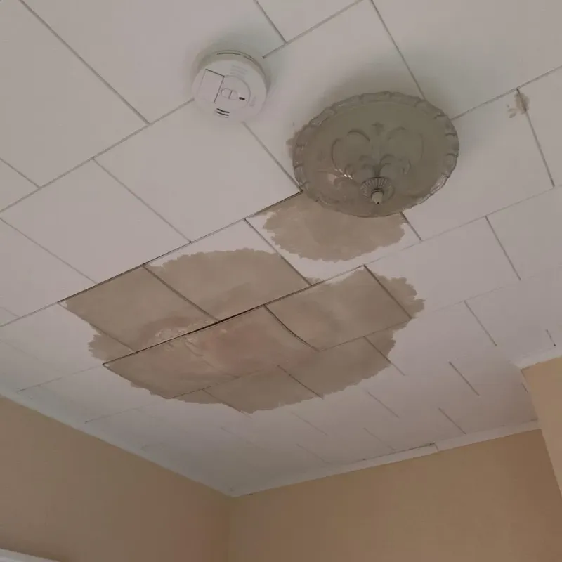 Ceiling Water Damage Repair in Wibaux County, MT