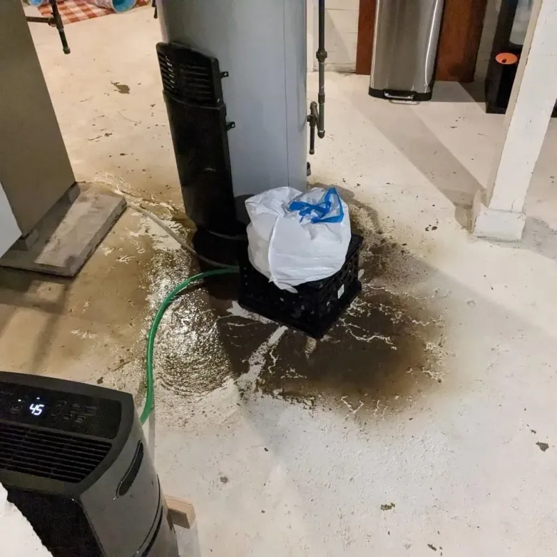 Sewage Backup Cleanup Service in Wibaux County, MT